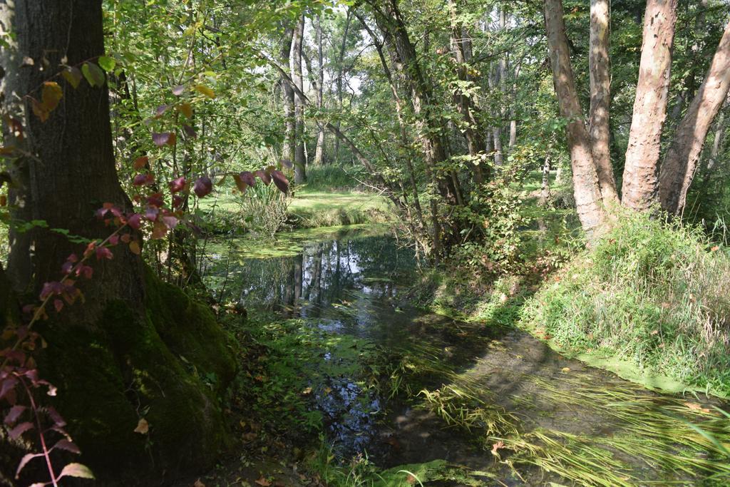 Rivignano Da Gastoneヴィラ エクステリア 写真