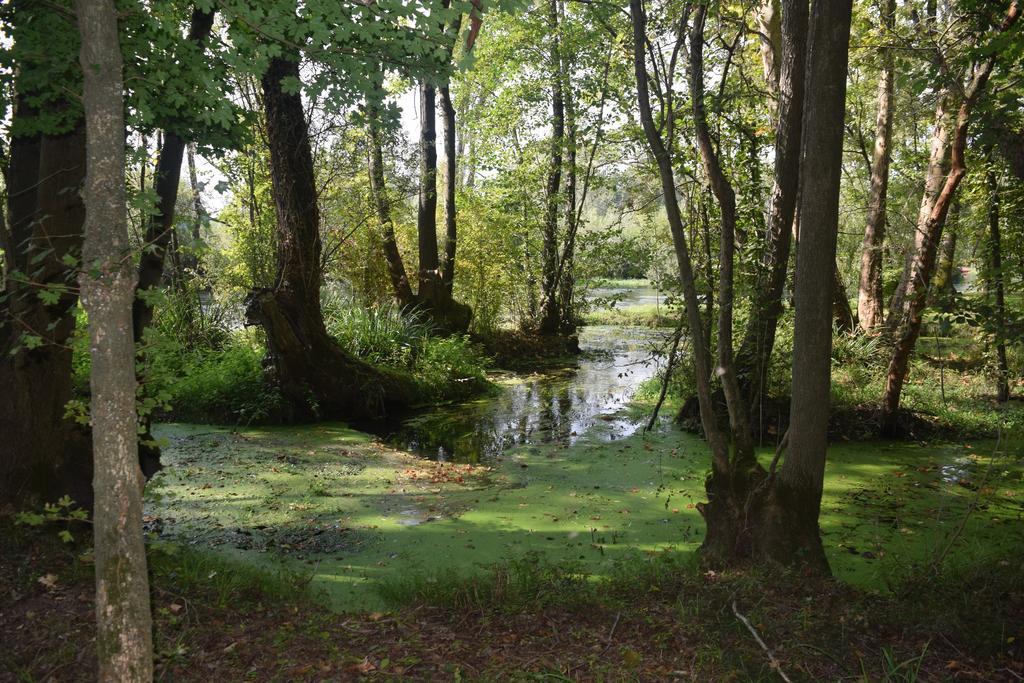 Rivignano Da Gastoneヴィラ エクステリア 写真